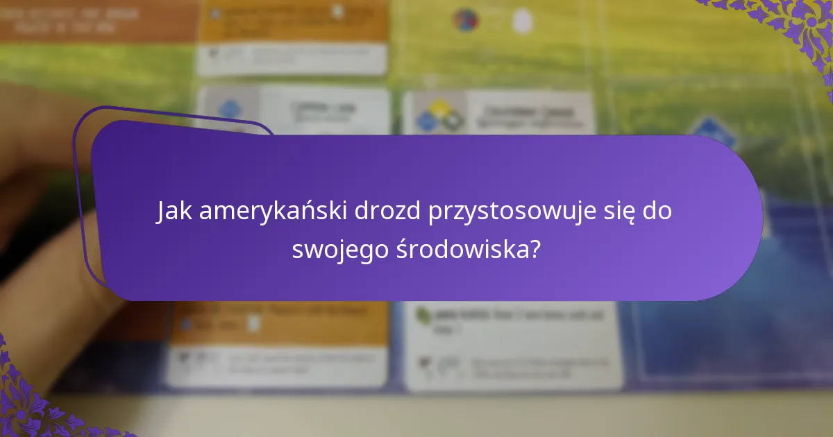 Jaka jest rozpiętość skrzydeł amerykańskiego drozda?