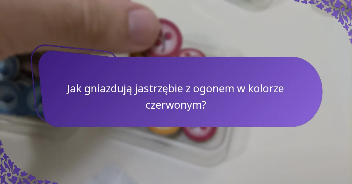 Jak gniazdują jastrzębie z ogonem w kolorze czerwonym?
