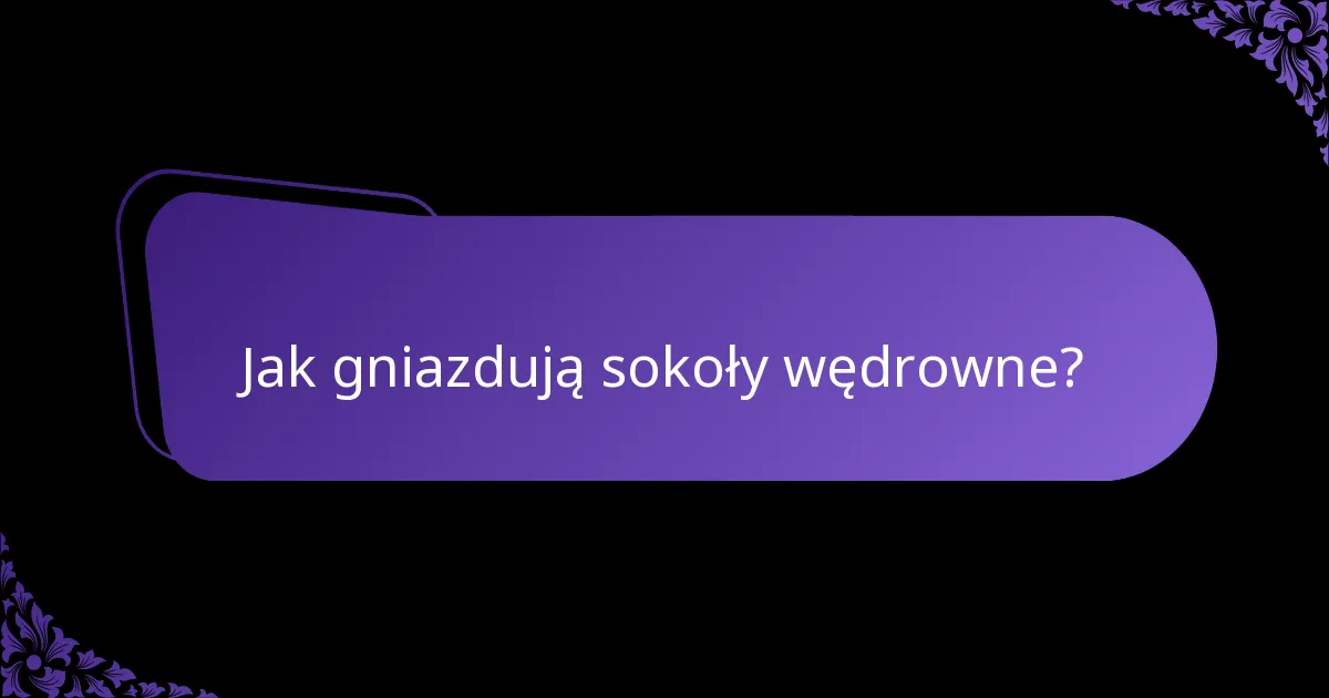 Jak gniazdują sokoły wędrowne?