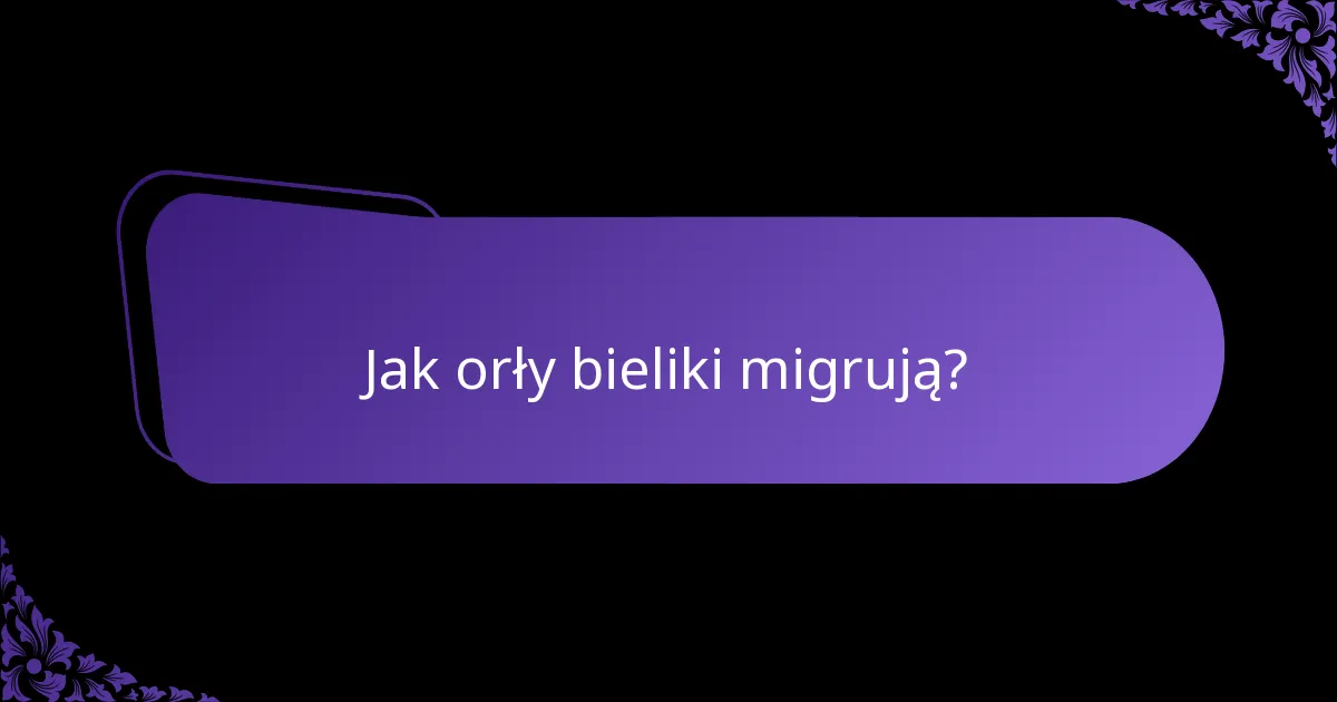 Jak orły bieliki migrują?