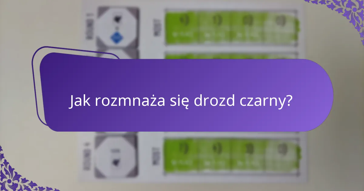 Jak rozmnaża się drozd czarny?