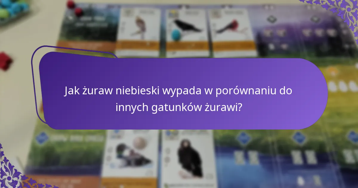 Jakie są obawy dotyczące ochrony żurawia niebieskiego?