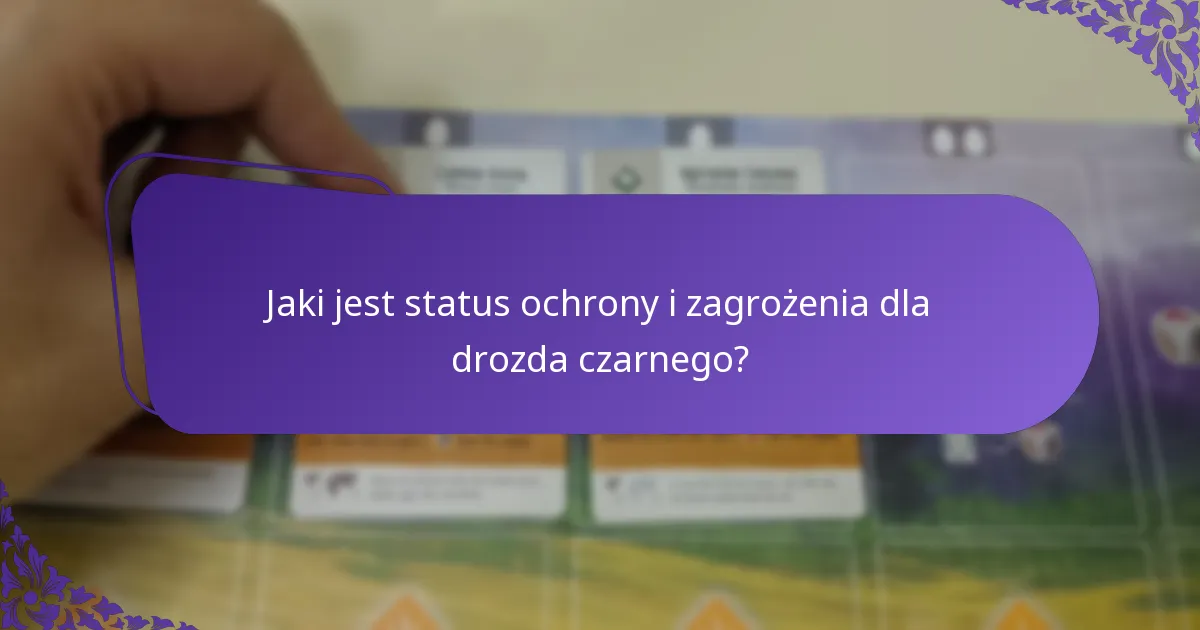 Jaki jest status ochrony i zagrożenia dla drozda czarnego?