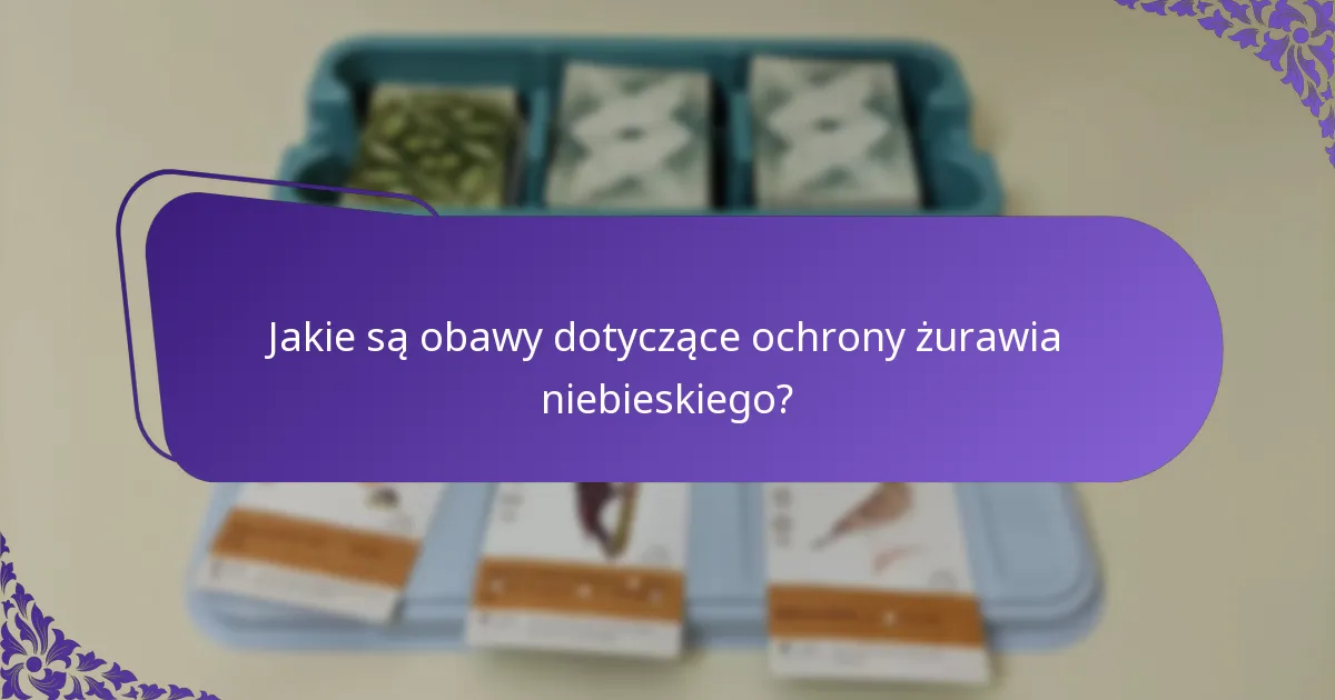Jak żuraw niebieski wypada w porównaniu do innych gatunków żurawi?