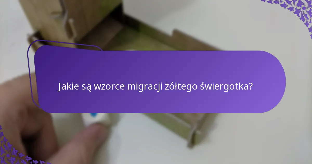 Jak wzorce migracji wpływają na populacje żółtego świergotka?