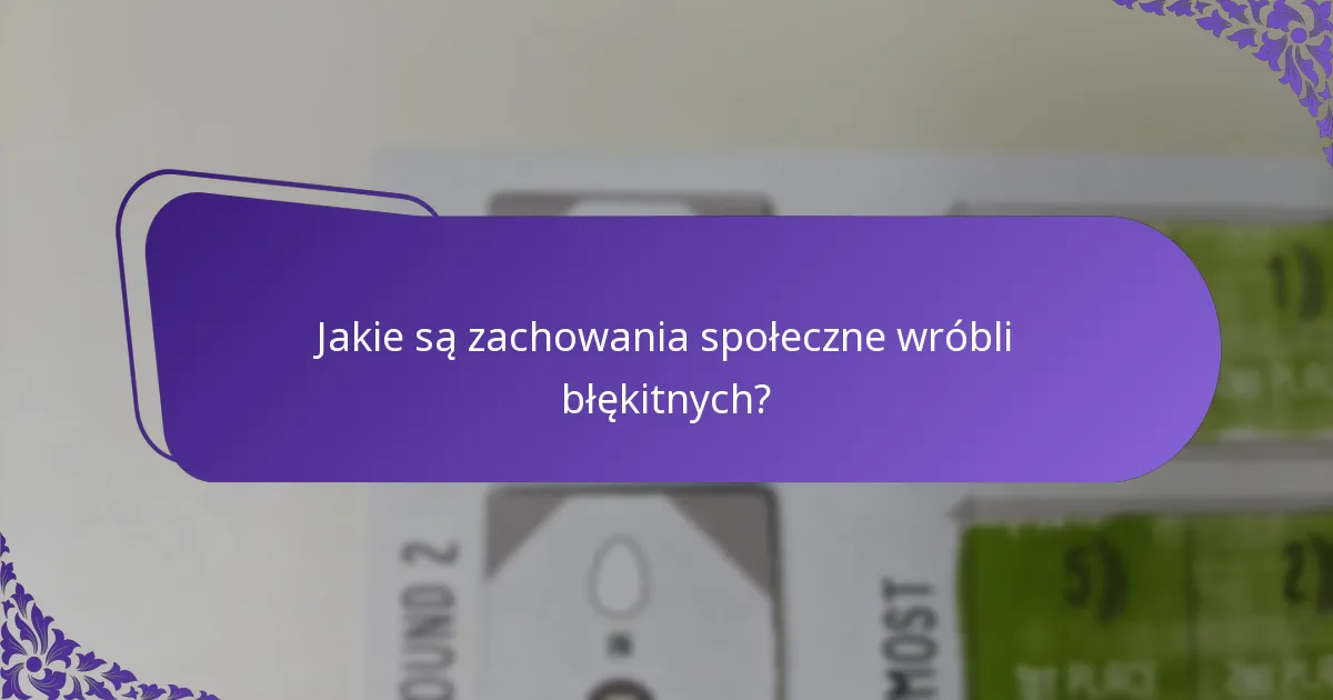 Jakie zagrożenia napotykają wróble błękitne w swoich siedliskach?