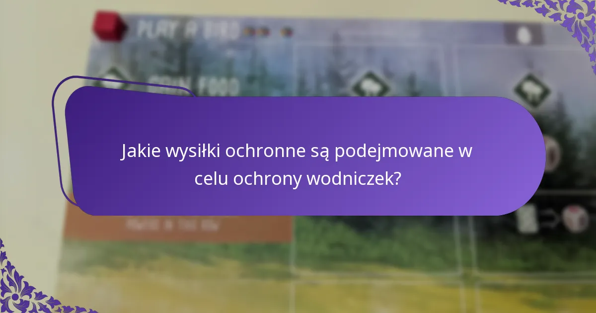 Jak wodniczki wypadają w porównaniu do innych gatunków kaczek?
